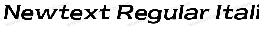 Newtext Regular Italic BT字体转换